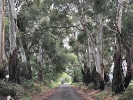 We started at the Strathbogie - Euroa Rd end